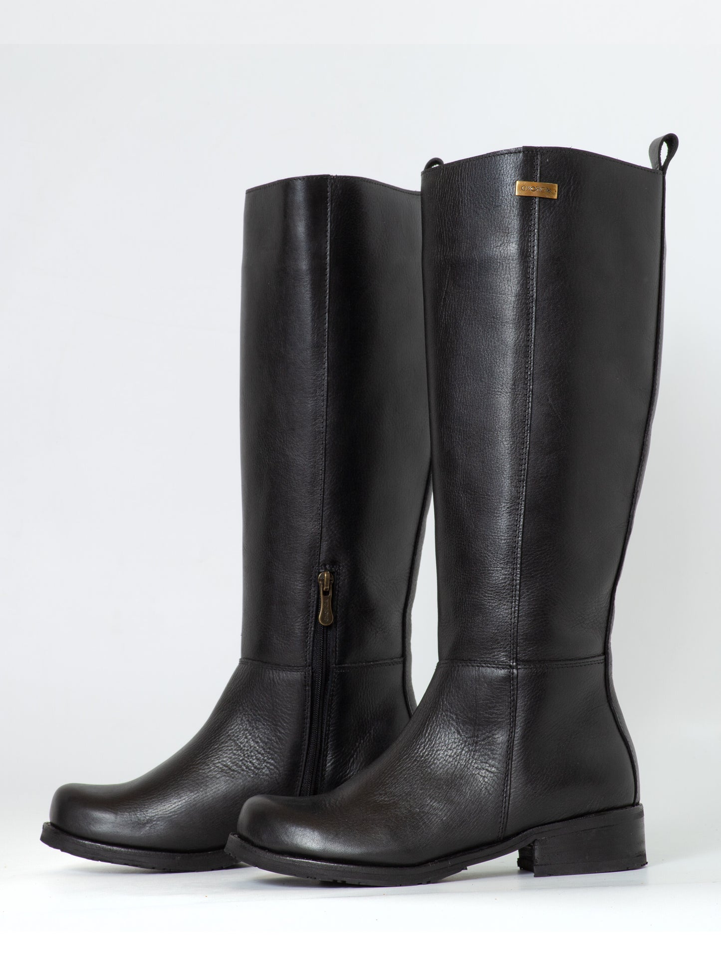 BOTA GENESIS INV26