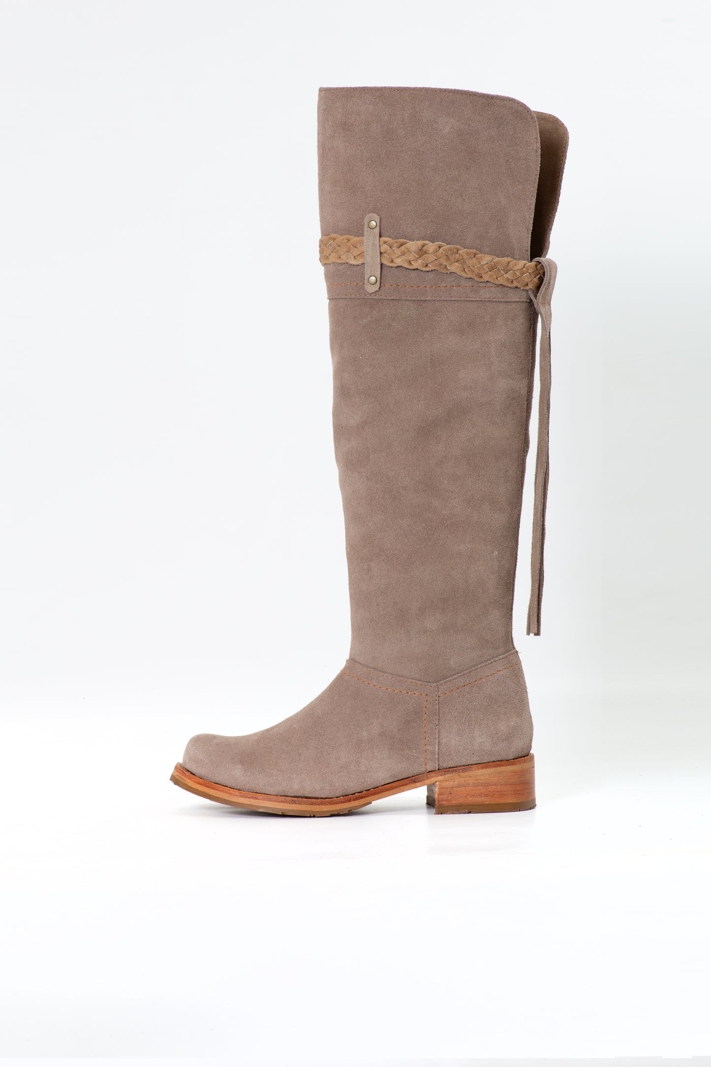BOTA JOCELYN INV26
