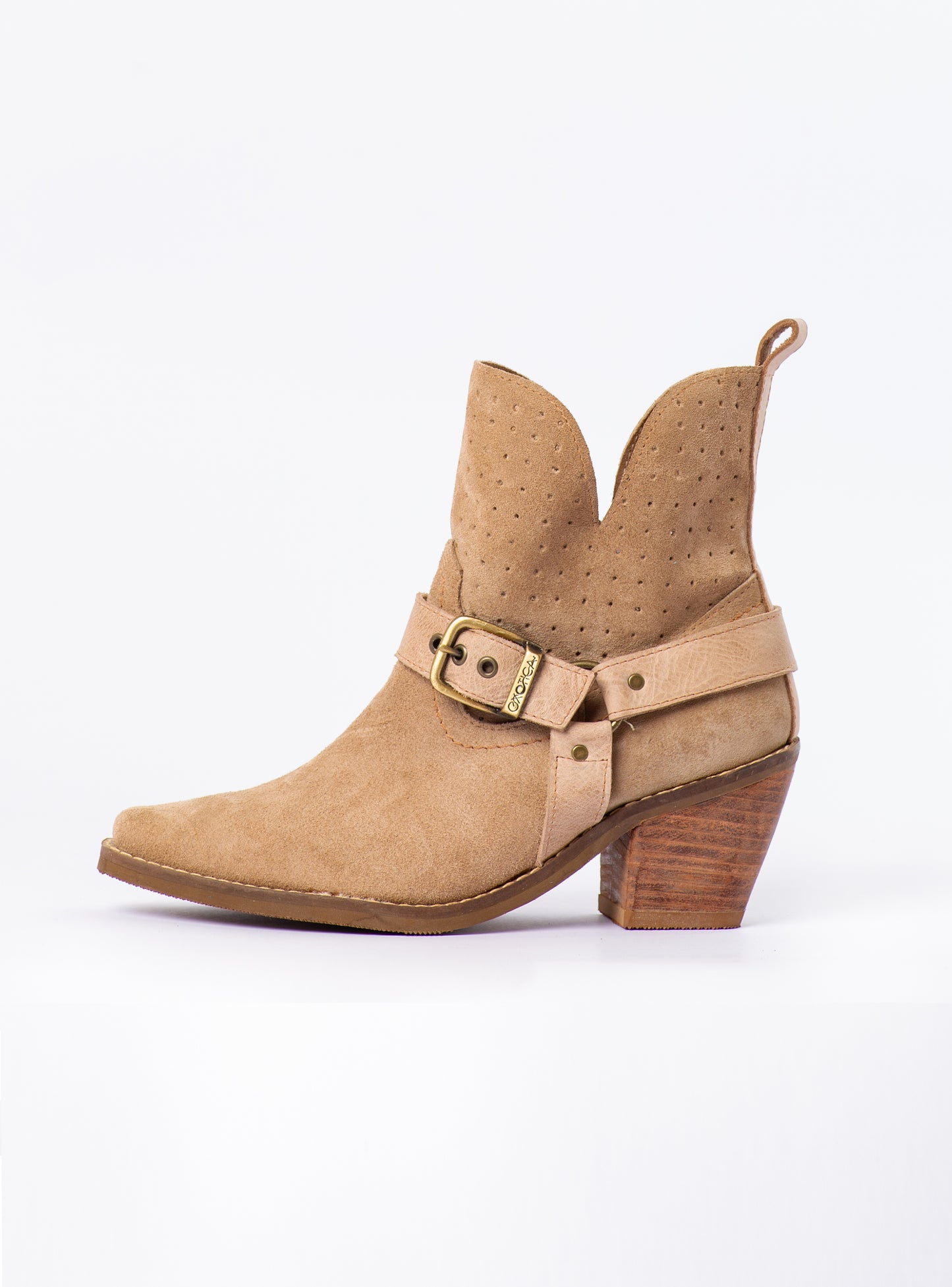 BOTIN ABRIL PR25