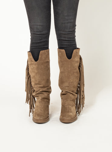 BOTA NOA INV26