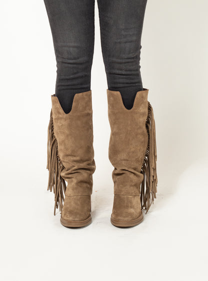 BOTA NOA INV26