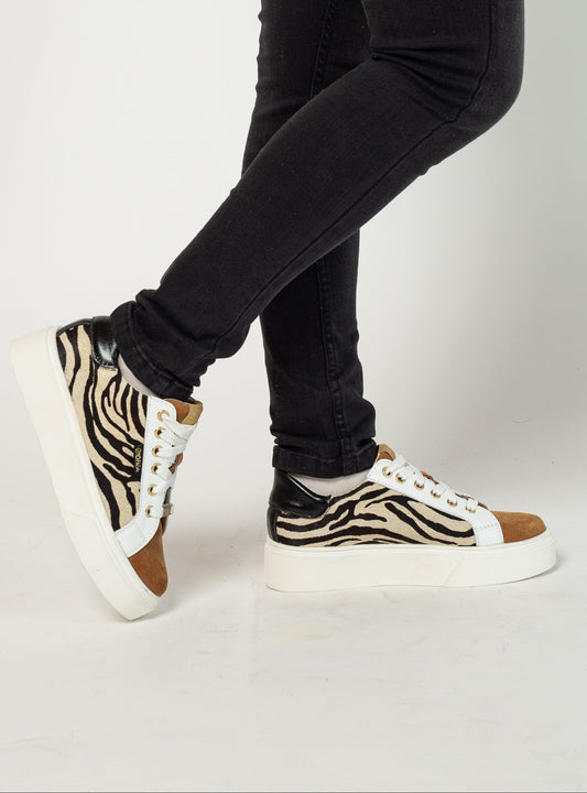 ZAPATILLA PIERA INV26